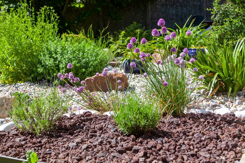 aménagement jardin